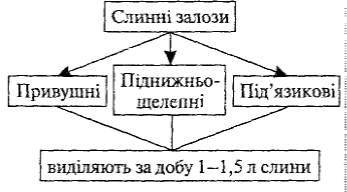 http://l.lekciya.com.ua/pars_docs/refs/8/7274/7274_html_1cb2af65.jpg